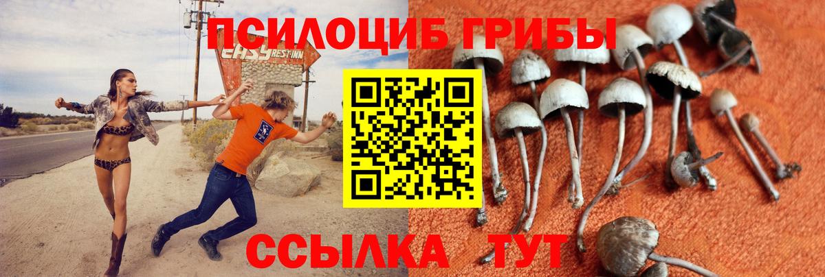 Псилоцибиновые грибы GOLDEN TEACHER  Вход с VPN  Якутск 